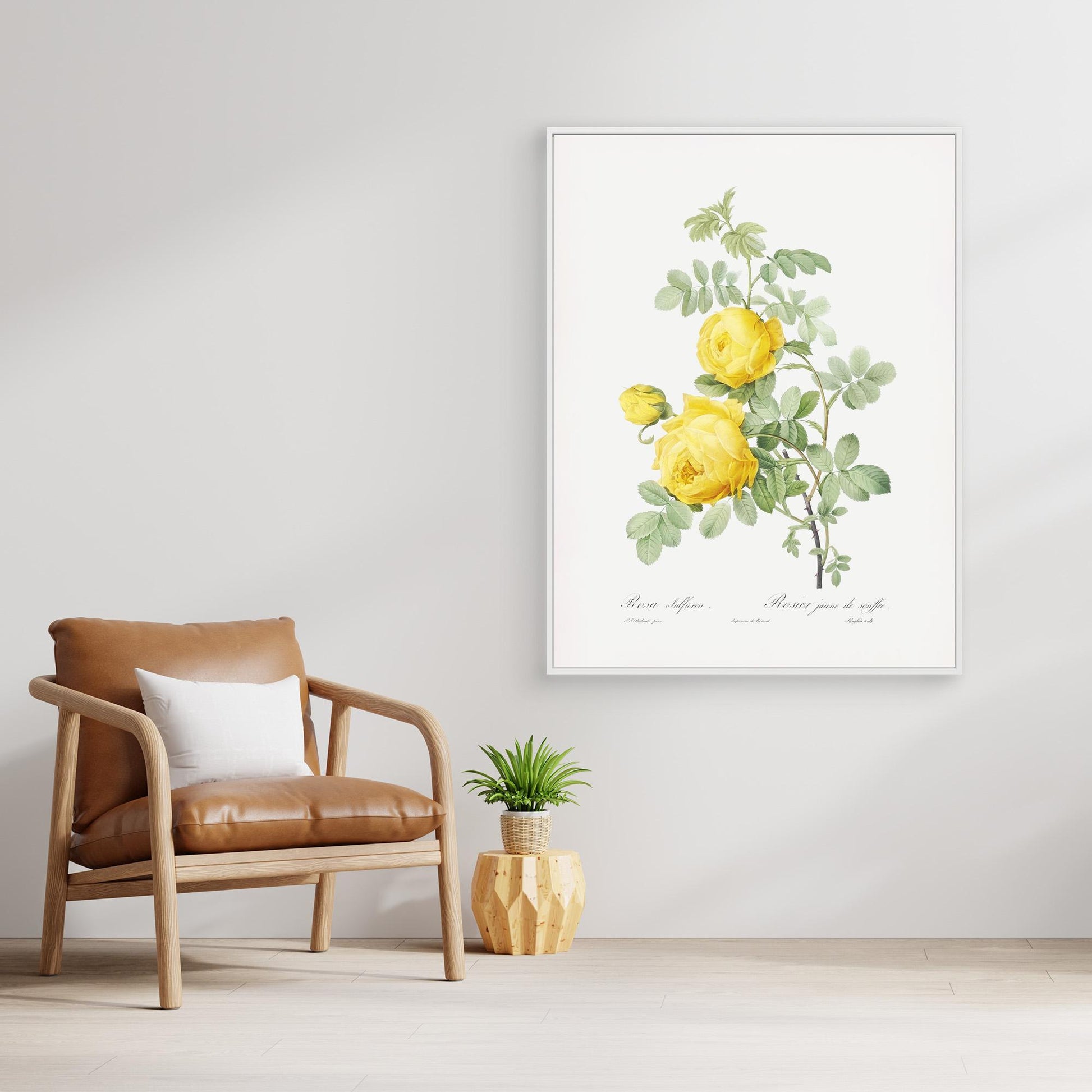 Roses can be Yellow