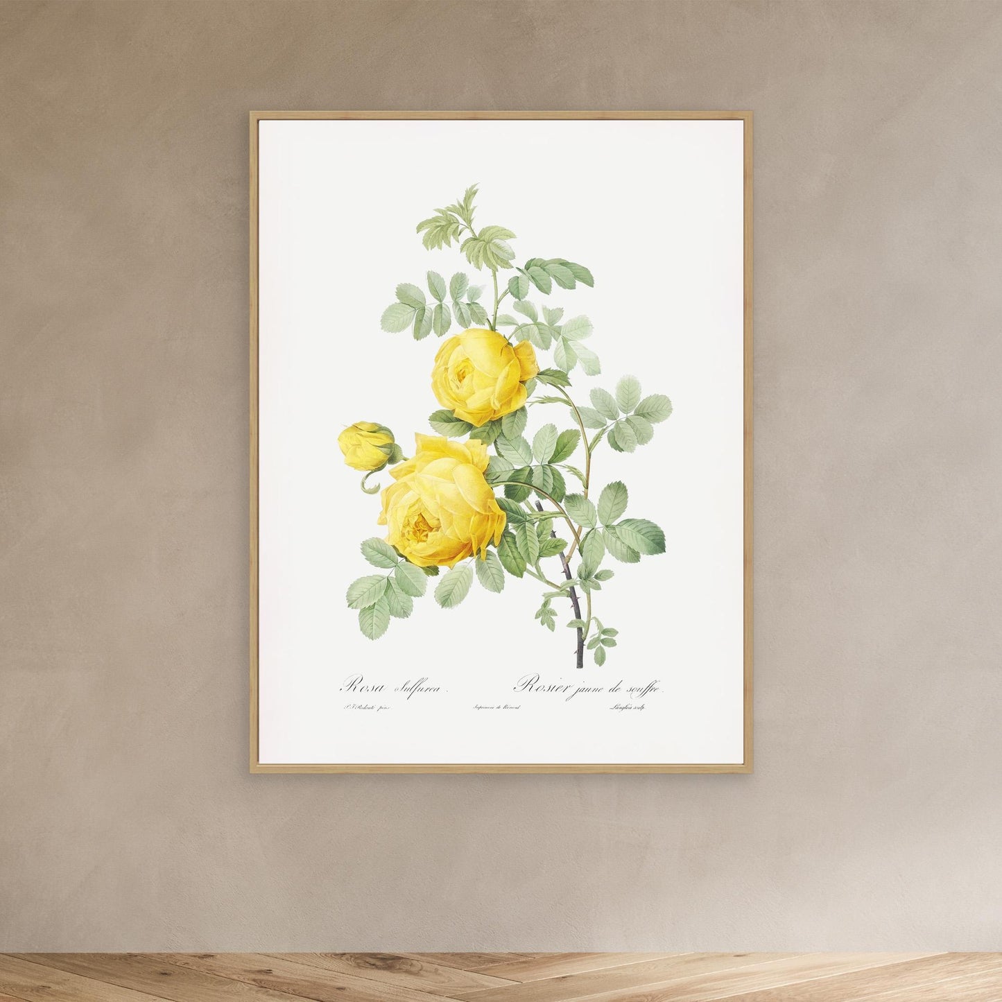 Roses can be Yellow