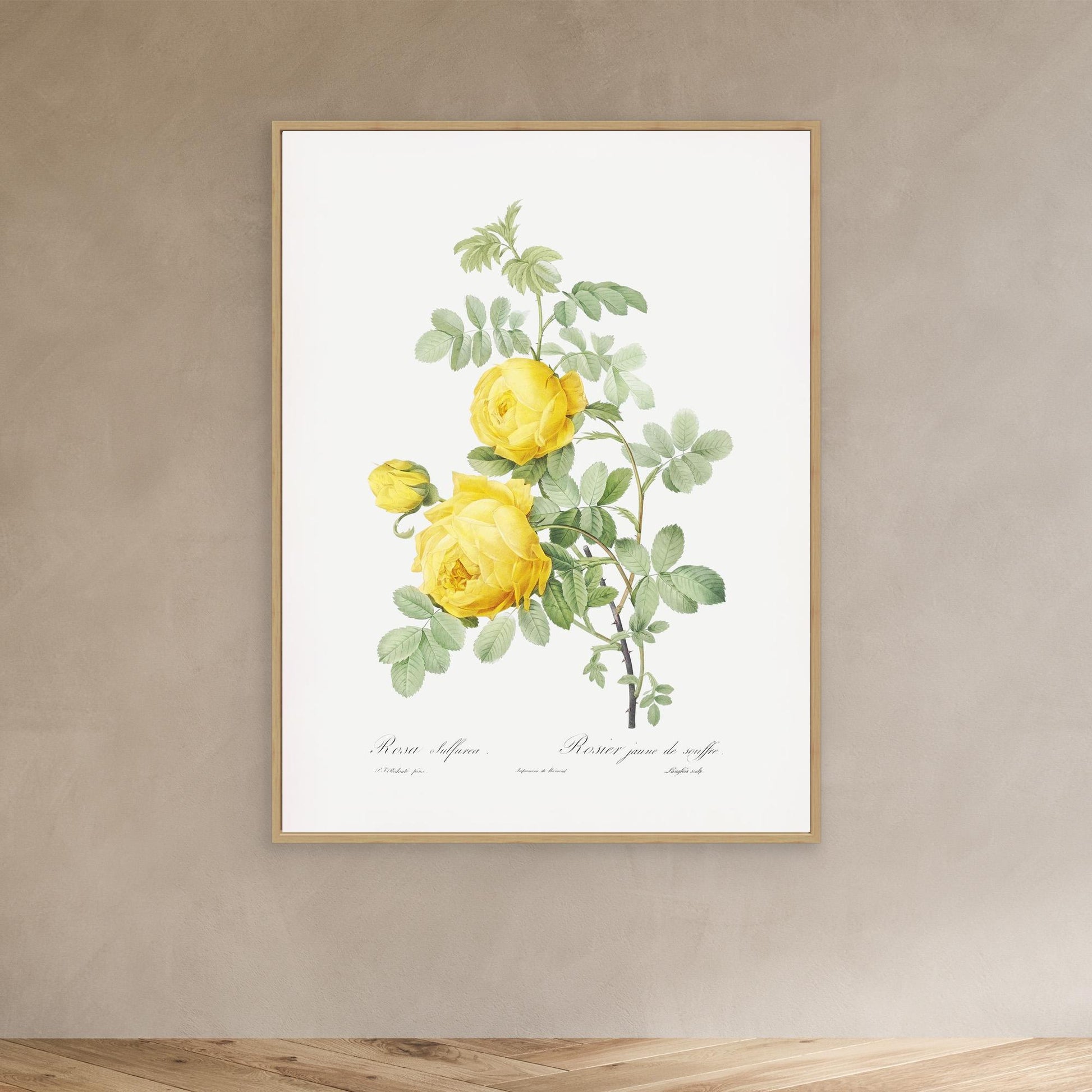 Roses can be Yellow