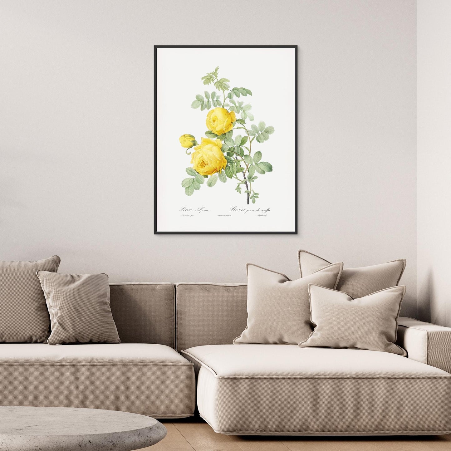 Roses can be Yellow